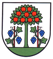 Wappen von Magden/Arms of Magden