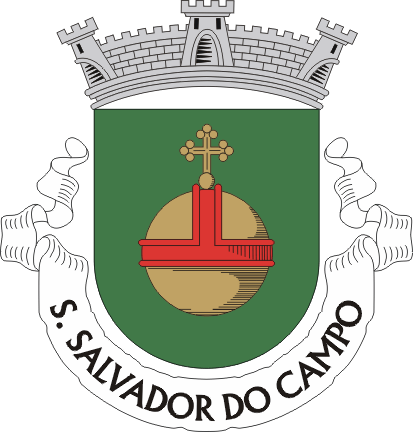 Brasão de São Salvador do Campo