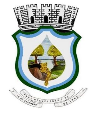Brasão de Frei Miguelinho/Arms (crest) of Frei Miguelinho