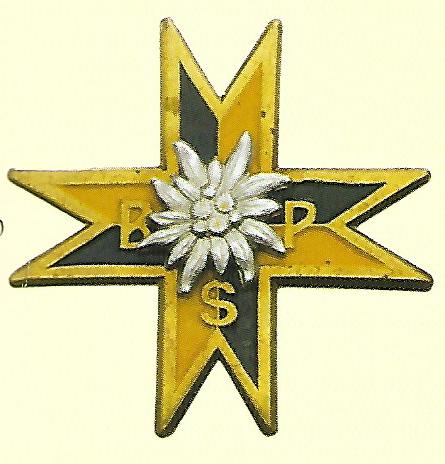 File:Podholanian Rifle Battalion, Polish Army.jpg