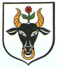 Arms of Chojnice