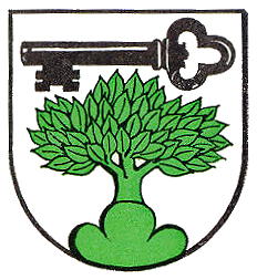 Wappen von Steinenberg / Arms of Steinenberg