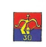 Arms of 30th Anti Aircraft Brigade, British Army