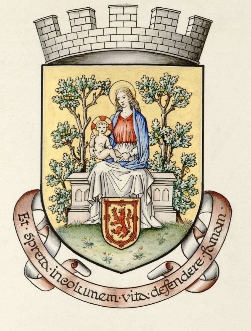 Coat of arms (crest) of Selkirk