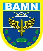 Coat of arms (crest) of the Manaus Air Force Base, Brazilian Air Force