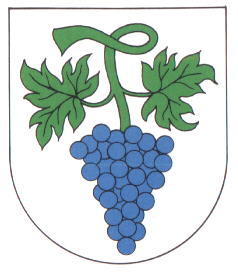 Wappen von Bottenau / Arms of Bottenau