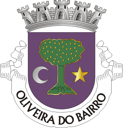 Arms of Oliveira do Bairro (city)