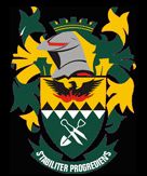 Arms of Msukaligwa