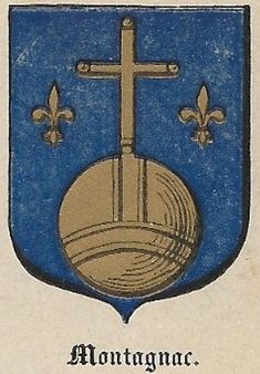 Coat of arms (crest) of Montagnac (Hérault)