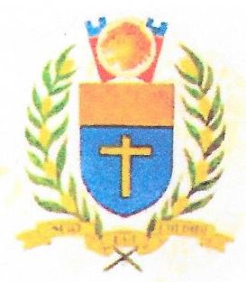 Arms of Leo Soekoto