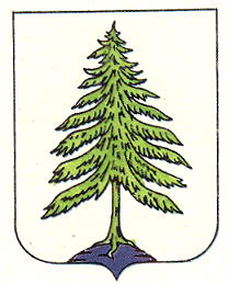 Arms of Storozhynets