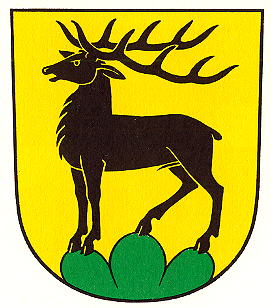 Wappen von Eglisau/Arms of Eglisau