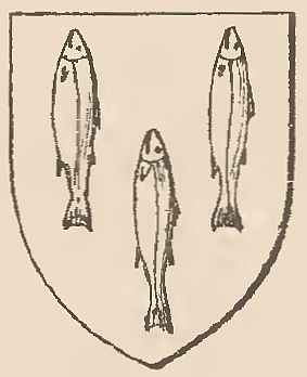 Arms of John Salmon