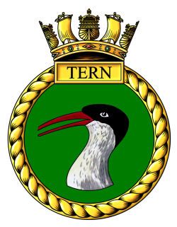 File:HMS Tern, Royal Navy.jpg