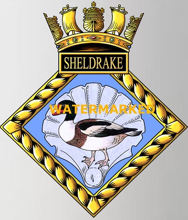 File:HMS Sheldrake, Royal Navy.jpg
