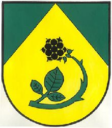 Wappen von Brandberg (Tirol) / Arms of Brandberg (Tirol)