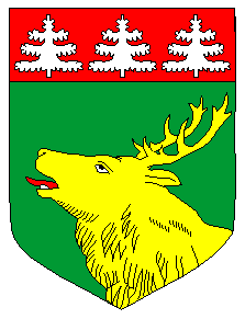 Arms of Jõhvi