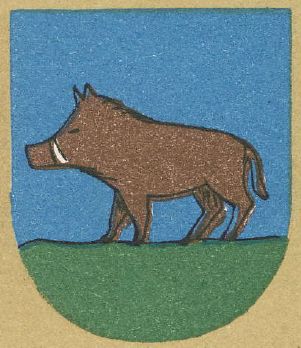 Arms of Łobżenica