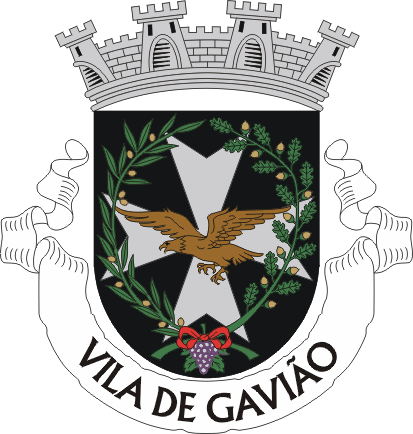 Brasão de Gavião (city)