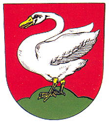 Coat of arms (crest) of Černošín