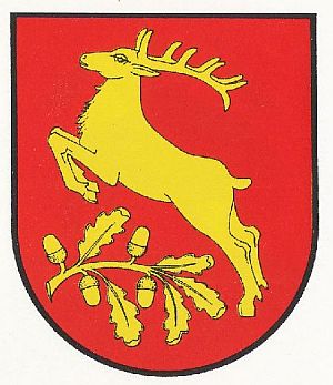 Arms of Łomża