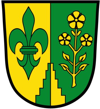 Wappen von Binswangen / Arms of Binswangen