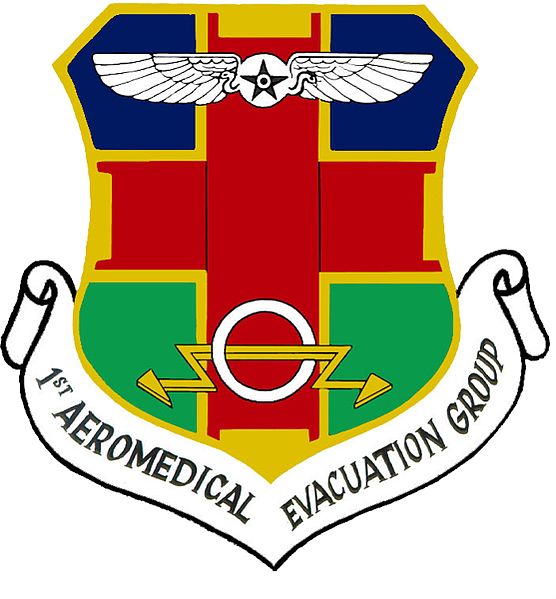 File:1st Aeromedical Evacuation Group, US Air Force.jpg