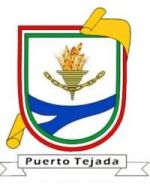 Escudo de Puerto Tejada/Arms of Puerto Tejada