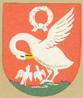 Arms of Szubin