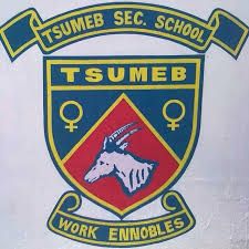 Coat of arms (crest) of Tsumeb Secondary School