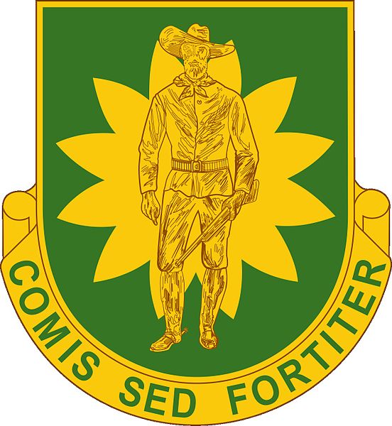 File:304th Military Police Battalion, US Army1.jpg