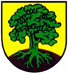 Wappen von Rauschengesees / Arms of Rauschengesees