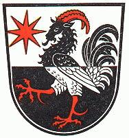 Wappen von Ziegenhain / Arms of Ziegenhain