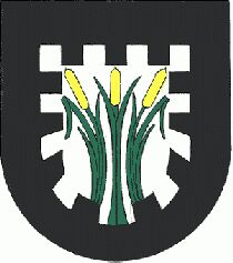 Wappen von Pinswang / Arms of Pinswang