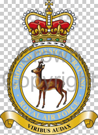 Coat of arms (crest) of the School of Physical Training, Royal Air Force