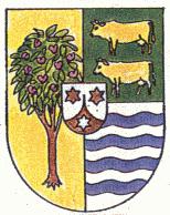 Arms of Hatillo