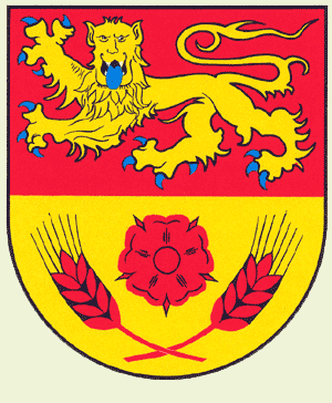 Wappen von Reislingen/Arms of Reislingen