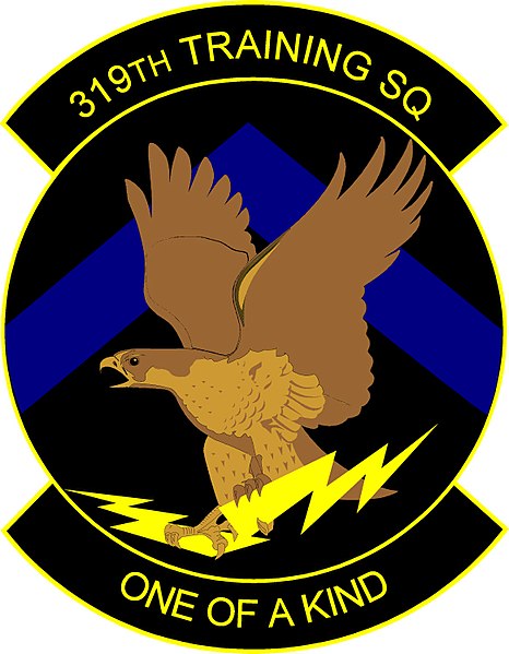 File:319th Training Squadron, US Air Force.jpg