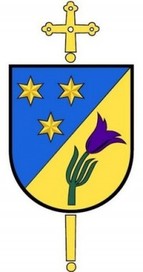 Arms of Diocese of Celje