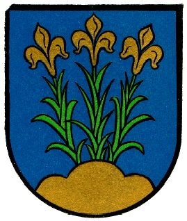 Wappen von Enger / Arms of Enger