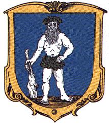 Arms of Polubný