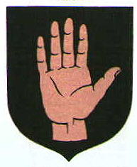 Arms (crest) of Brodnica (Brodnica)