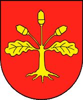 Arms of Kostopil