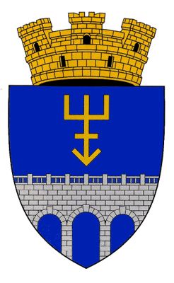 Coat of arms of Edineț