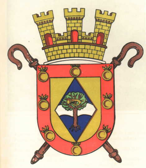 Escudo de Capitán Bermundez/Arms (crest) of Capitán Bermundez