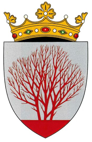 Coat of arms of Sîngerei (district)