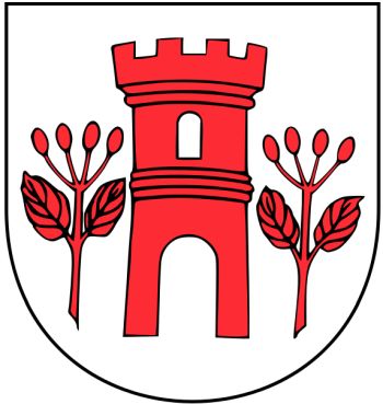 Arms of Świdwin (rural municipality)