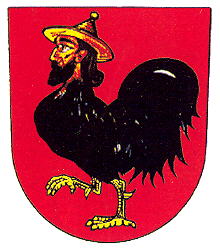 Coat of arms (crest) of Česká Třebová