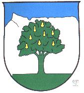 Wappen von Wals-Siezenheim/Arms (crest) of Wals-Siezenheim