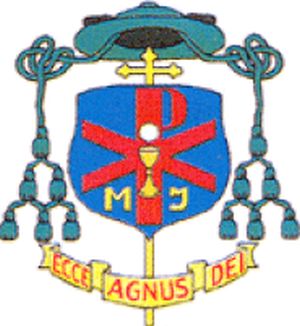 Arms of Jan Niemiec